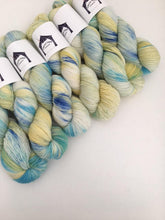 SPARKLE Hand Dyed Fireworks Sparkle Sock 4ply Fingering 75/20/5 merino nylon SILVER Stellina Budgie